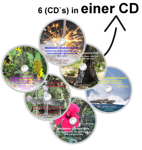 Meditative Heilungs und Erkenntnisreise durch die fünf Elemente 2