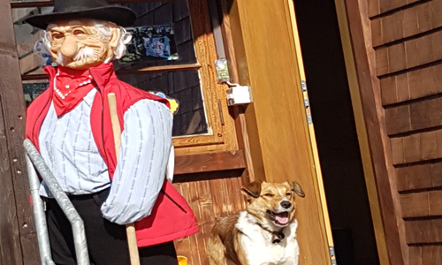 Seminar: Archetypen der ausgeprägten Persönlichkeitsmerkmalen