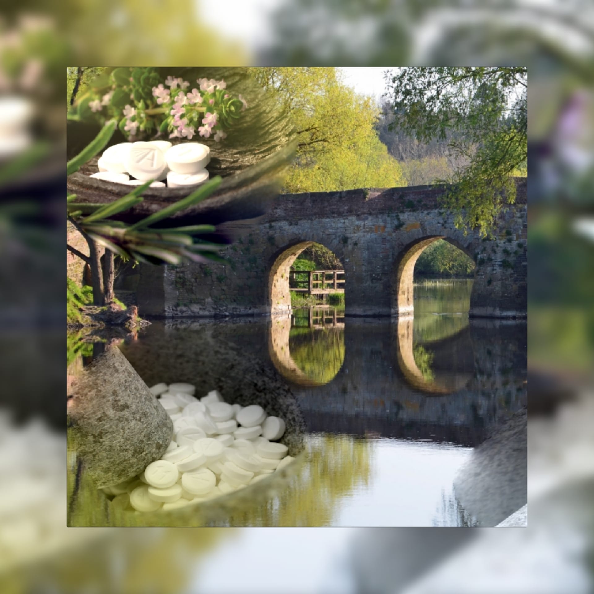 Seminar: Schüssler Salze