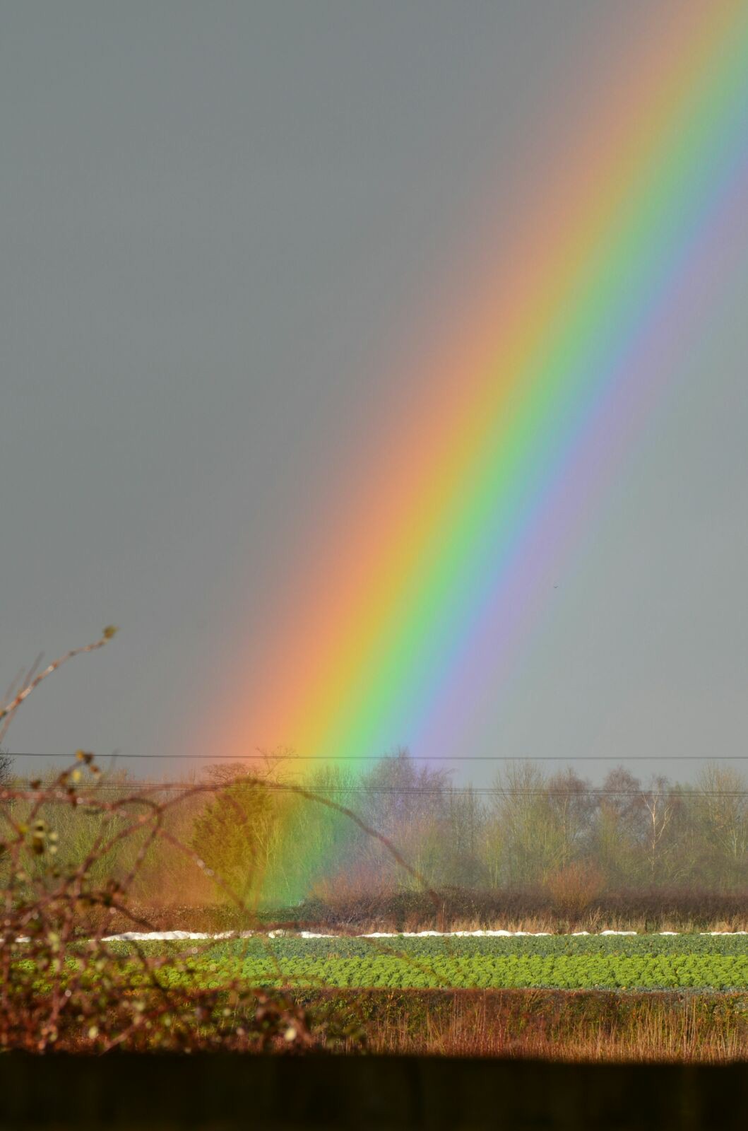 Regenbogen