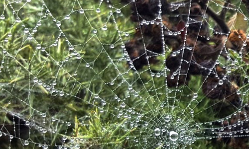 Sprenge Deine Ketten