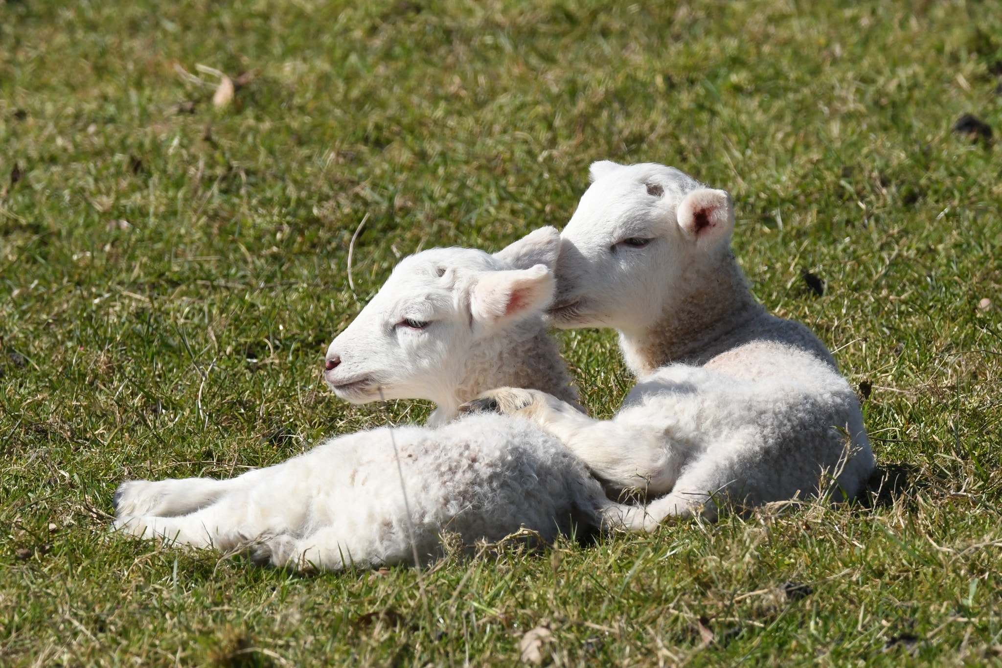 Seminar: Partnerschaft der Neuzeit